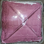 B14-17 Plum