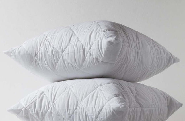 Continental Pillow Protector Pair - Microfiber