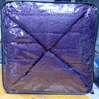 B8-21 PURPLE