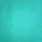 S12-21 TEAL