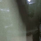 S75-43