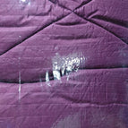 C11-11 Plum